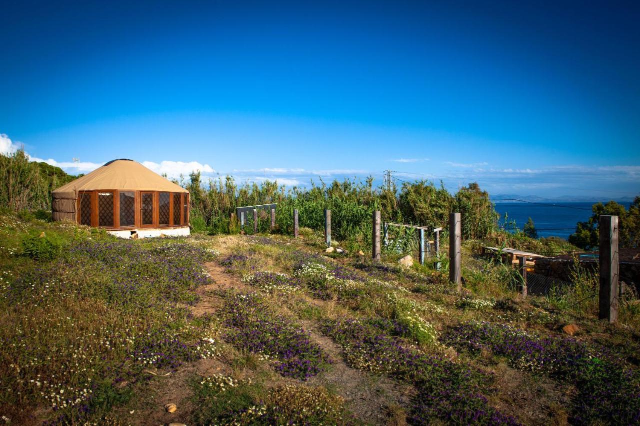 Wild House Tarifa Hostel Bagian luar foto