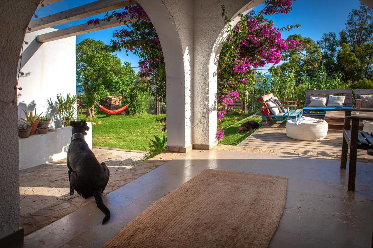 Wild House Tarifa Hostel Bagian luar foto