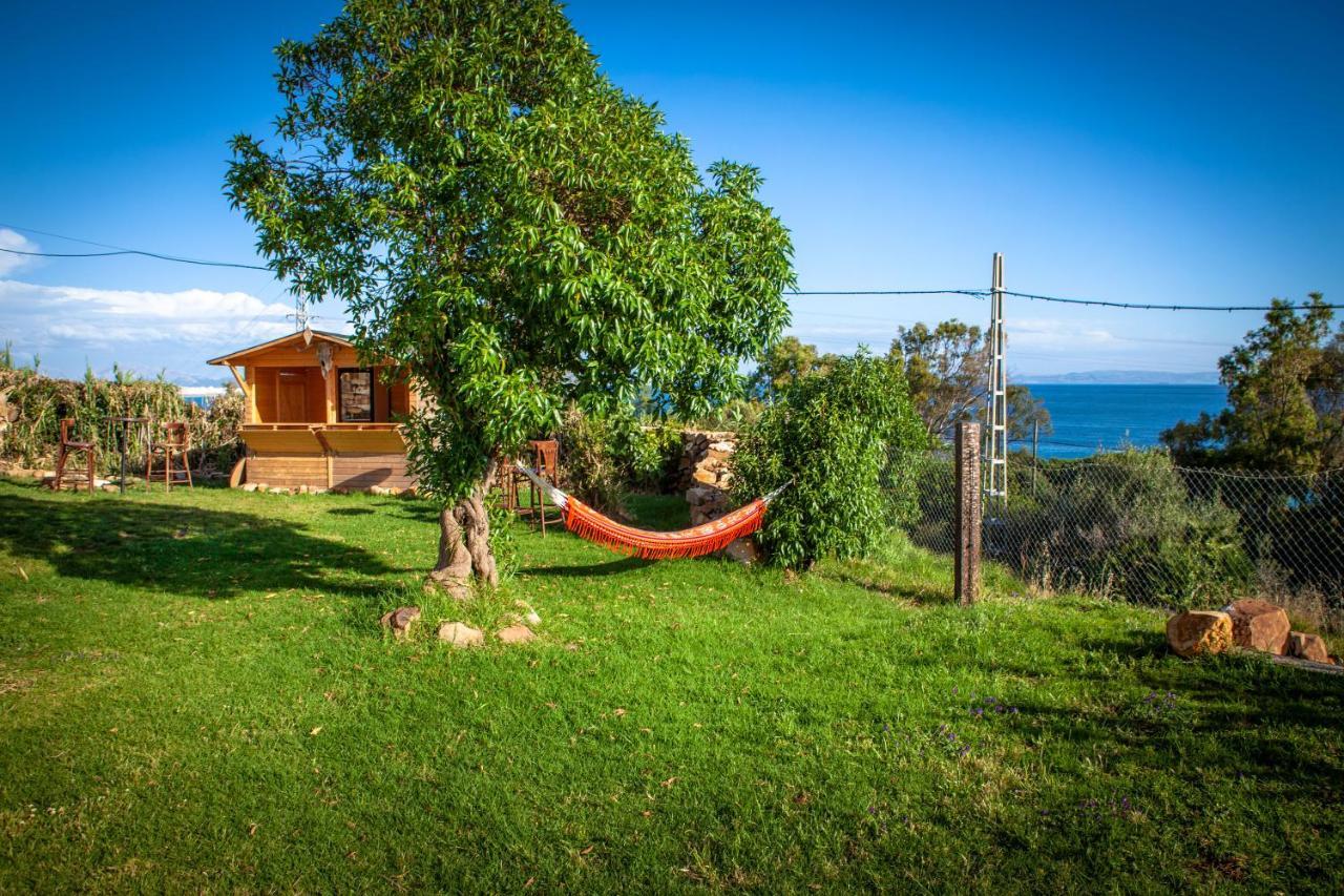 Wild House Tarifa Hostel Bagian luar foto